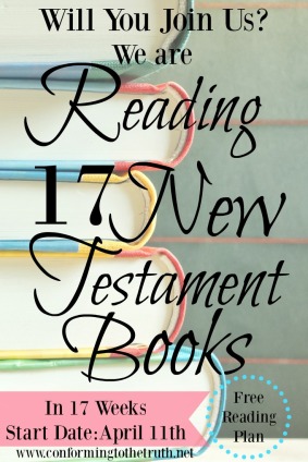 17 Week New Testament Reading Plan