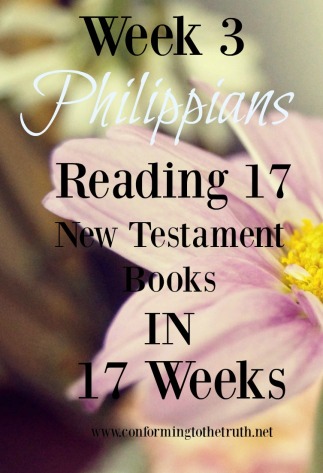 https://conformingtothetruth.net/2016/03/11/reading-17-new-testament-books-in-17-weeks/