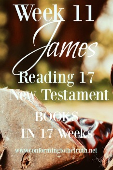 The book of James is filled with teachings on how to love our neighbor as ourselves and to love the Lord our God with all our hearts. Join me at conforming to the truth as we read and talk about this great book. 